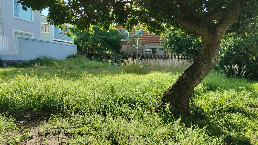 0 Bedroom Property for Sale in Tergniet Western Cape